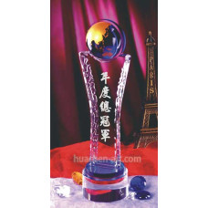 水晶獎盃-年度總冠軍