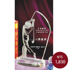 C917一桿進洞獎盃